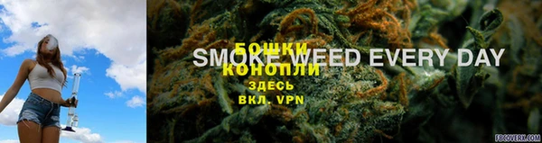 герыч Бронницы